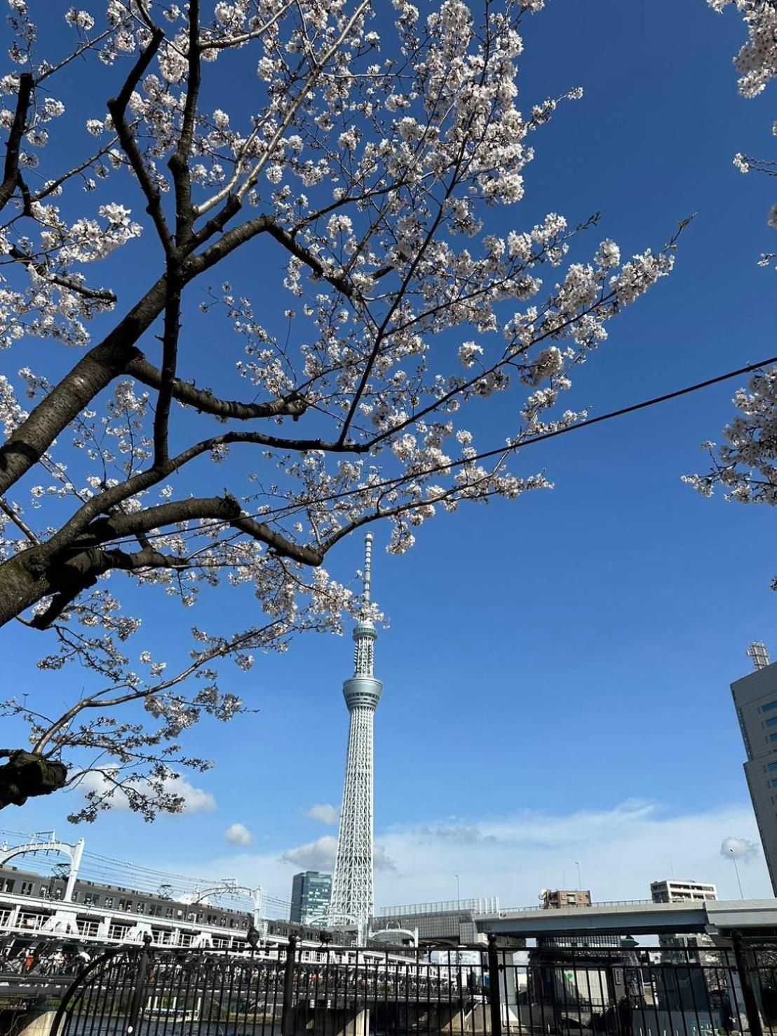 東京雷門ー千の森asakusa Tokyo prefektur Exteriör bild